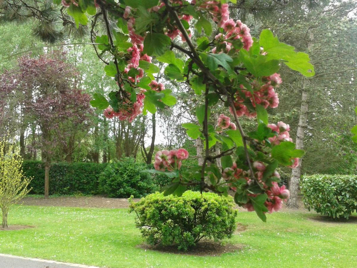 Chambre D'Hotes Les Hortensias Rang-du-Fliers Exteriör bild